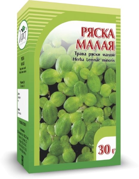 Изображение товара Ряска малая Хорст 30г Ряска малая Хорст 30г фотография